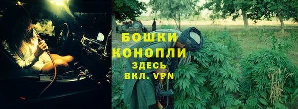 трава Снежинск