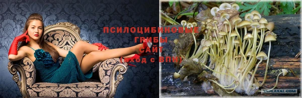 трава Снежинск